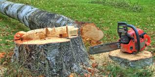 Best Emergency Tree Removal  in Woodlake, CA
