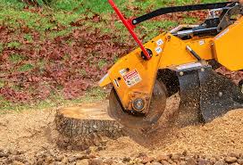 How Our Tree Care Process Works  in  Woodlake, CA